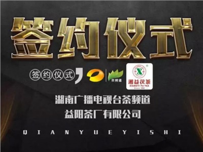 湘益茯，美茗揚 丨湘益茯茶與茶頻道達成長期戰(zhàn)略合作